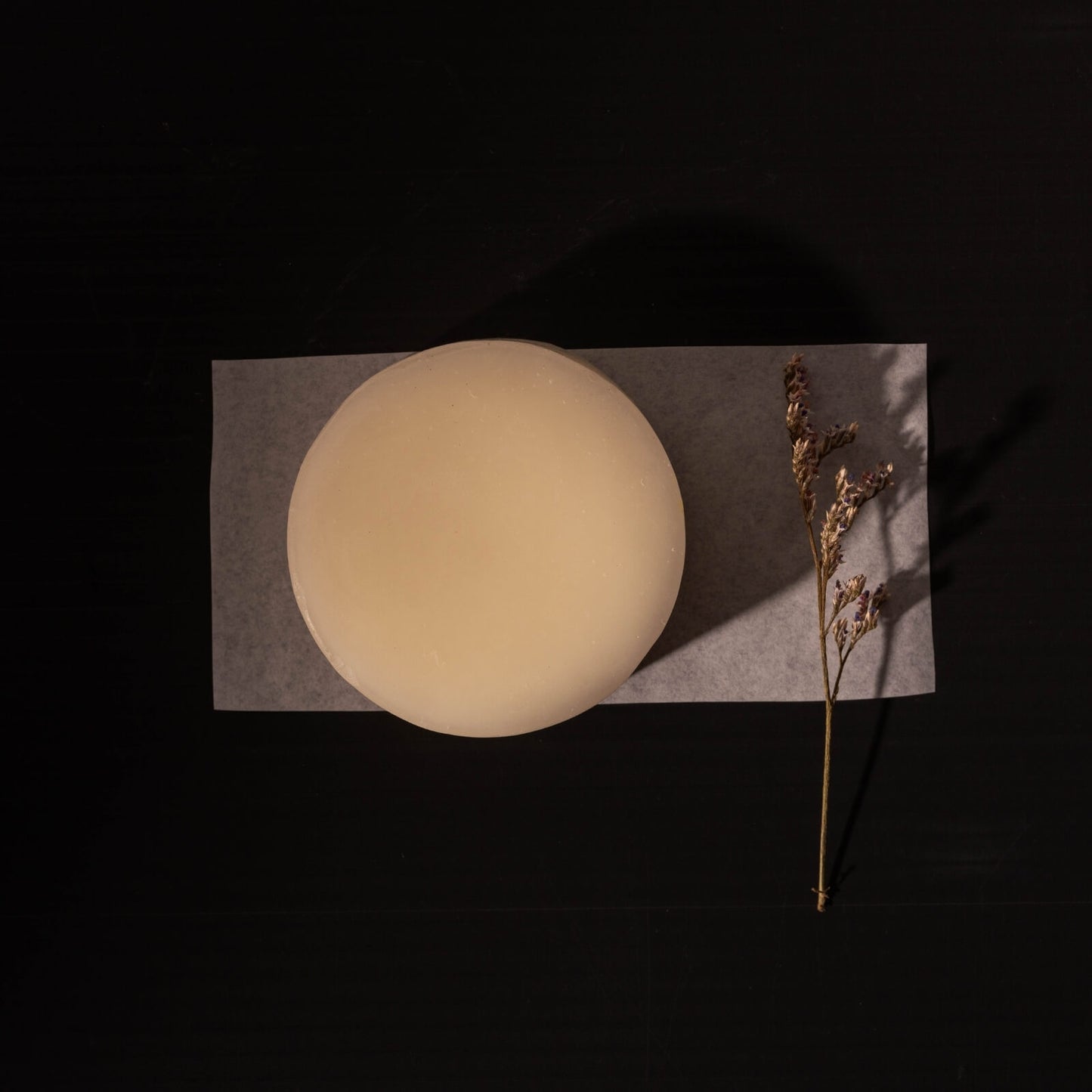 Nutritive conditioner bar